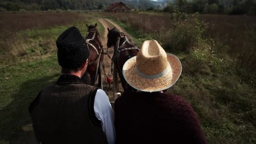 Romanians riding a horse-drawn cart 20