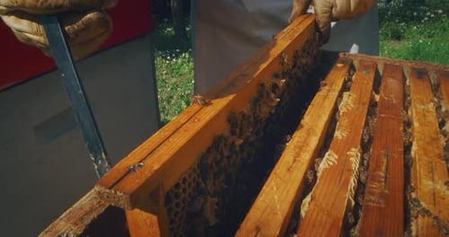 Nahaufnahme eines Imkers in Zeitlupe mit voller Ausrüstung, der die Bienenstöcke auf die Produktion von E überprüft