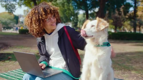 Woman Petting a Dog and Using Laptop in the Park
