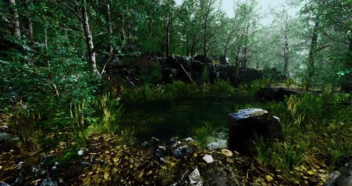 Tranquil Forest Setting with a Serene Pond Surrounded By Lush Vegetation