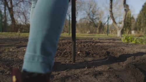 Close up of Female Gardening with Pitchfork, Preparing Soil in Spring.