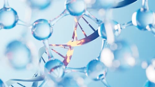 Abstract DNA Helix and Molecule Network Animation