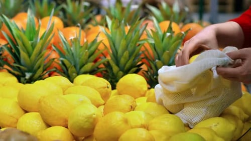 Mujer recogiendo limones en una bolsa reutilizable en una tienda. Temáticas del Día de la Tierra y la Ecología