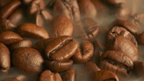 Freshly Roasted Coffee Beans Still Warm and Aromatic