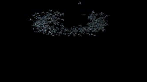 Dark Swirling Bat Swarm Seamless Loop Overlay