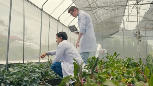 Scientists Analyze Plant Growth Inside Greenhouse