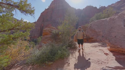 Embarking on a Captivating Exploration of Zion National Park A Hikers Exciting Journey