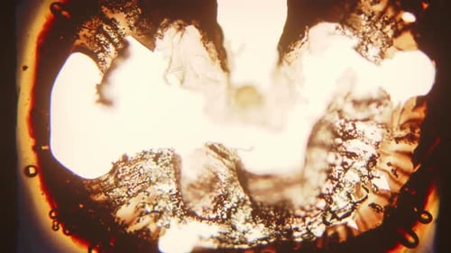 Abstract Bubbles Expanding in Warm Light Background