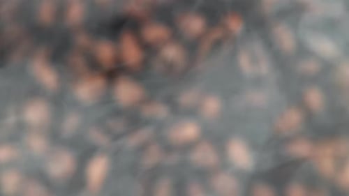 Super Slow Motion Coffee Beans with Smoke Filmed on a Highspeed Camera at 1000 Fps