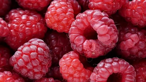 Close up of fresh, ripe, red raspberries