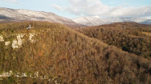 Aerial Angle of a Vast Forest of Pine Trees and Bare Trees Covering the Beautiful Hills