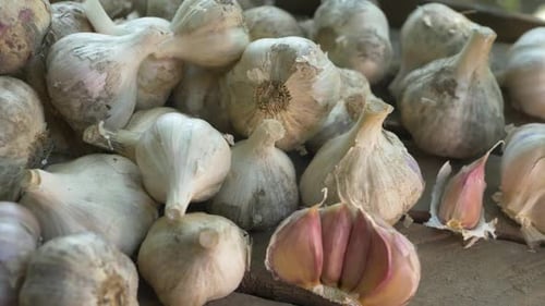 Harvest of Garlics in Wooden Box