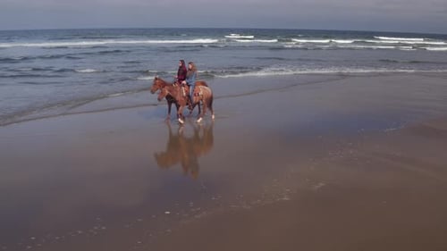 Aerial View of Women Riding Horses at Beach Active