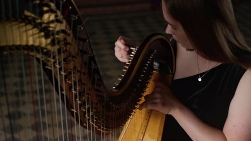 Woman Plays Beautiful Wooden Harp Instrument