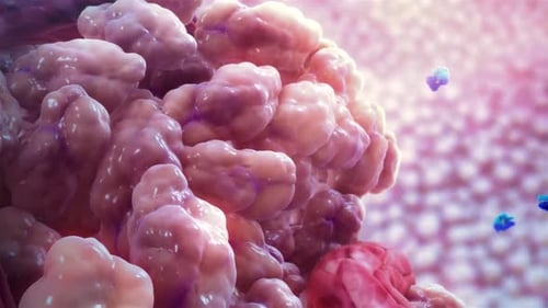 3D Medical Animation: Molecular Interaction with Cells