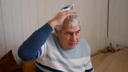 Man Interacting with Budgie Perched on his Head