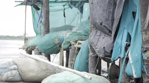 Exploring the Busy World of a Local Fish Market