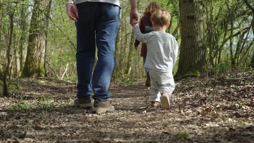 Toddler boy holds father's hand as they walk in forest, low angle