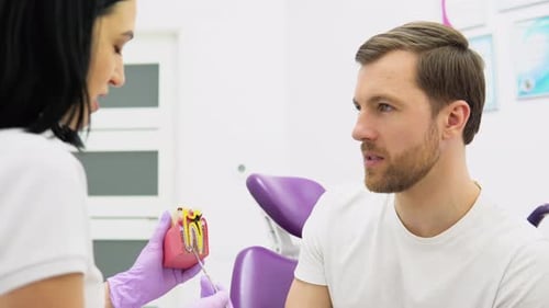 Man Talking With Dentist About Tooth Model
