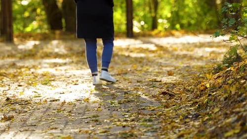 Person walking on a sunlit path covered with autumn leaves.