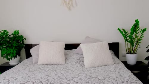 Cozy Bedroom with Potted Plants and Dream Catcher