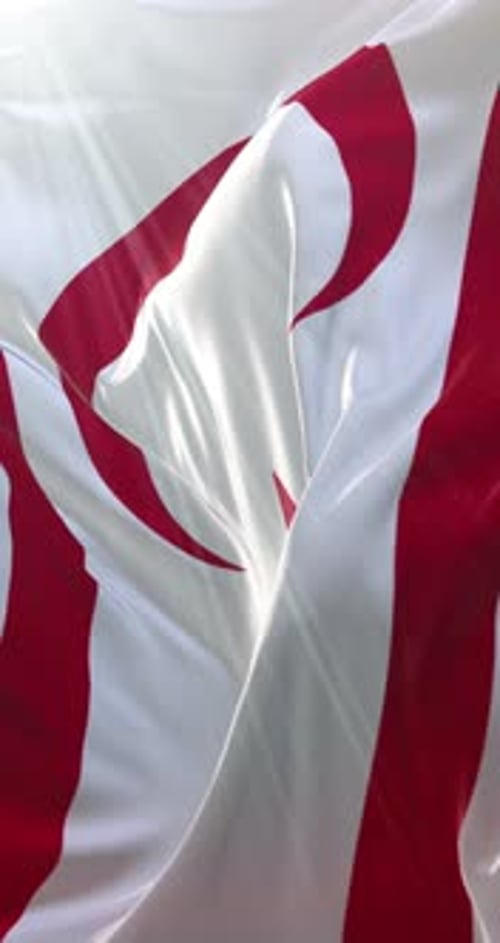 Drapeau de la République turque