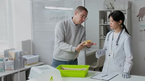 Pet Owner Showing SIck Lizard to Veterinary Clinician in Medical Office