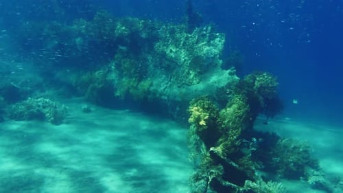 Unterwasser-Schiffswrack mit buntem Korallenriff
