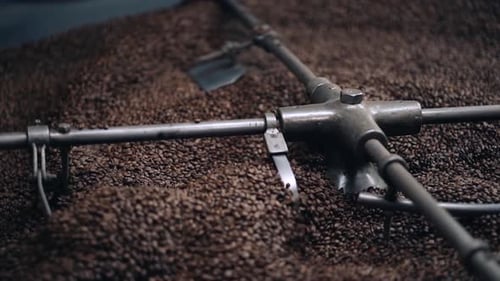 Roasted Coffee Beans Churning in Factory Machine