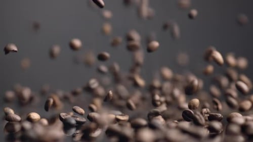 Der Untergang der Kaffeesamen aus nächster Nähe. Gebratene braune Bohnen, die auf den Tisch fallen und hüpfen. Aromatisch frisch...