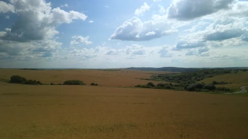 Wheat field aerial view in Ukraine