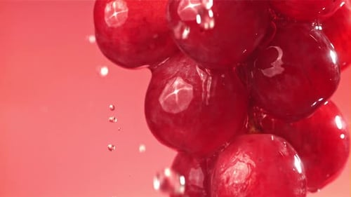 Raindrops Falling on a Branch of Red Grapes on a Pink Background Filmed on a Highspeed Camera at