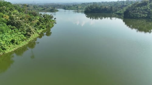 Aerial footage of green natural lake in the forest