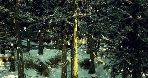 Snowfall Gently Blankets a Serene Forest Landscape During Winter