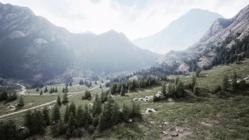 Cross Road on Hillside Meadow in Mountains