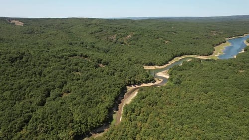 Aerial Forest and River