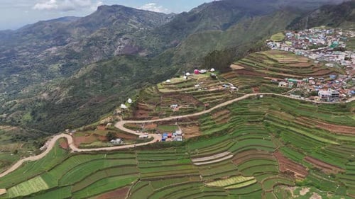 Elevated view showing harmony between Kodaikanal’s nature and human habitat.