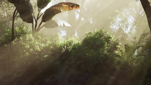 Sunlight Filters Through a Dense Canopy of Tropical Plants in a Vibrant Forest