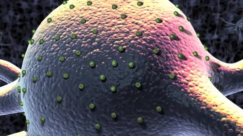 3D Neuron Electrical Signal Transmission