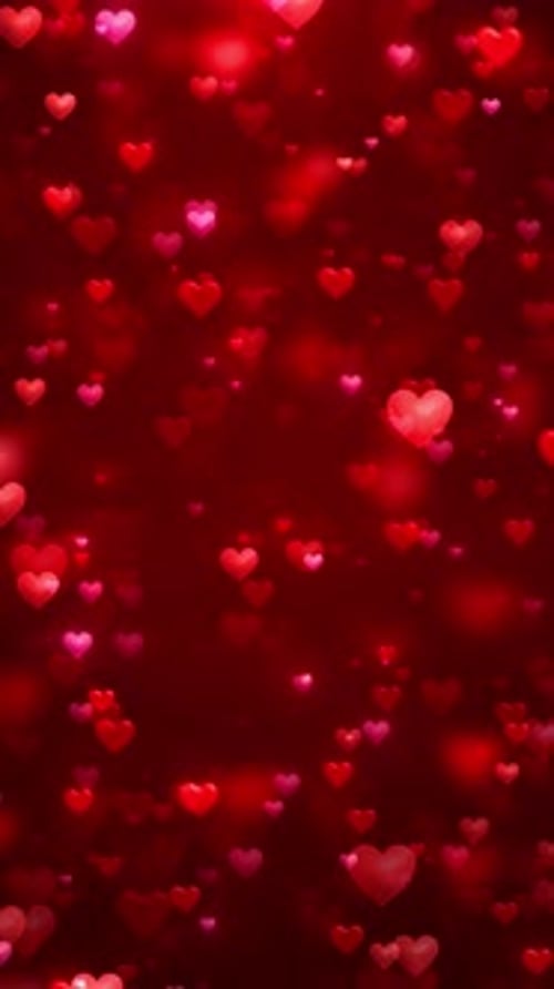 Cute hearts Decorative Valentines day background bokeh lights and heart. for Valentine's Day, Weddin