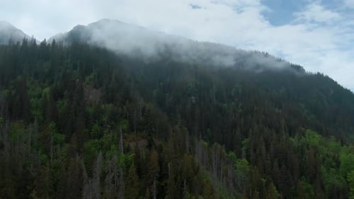 Aerial View of a Summer Rocky Mountain Landscape in Cloudy Day