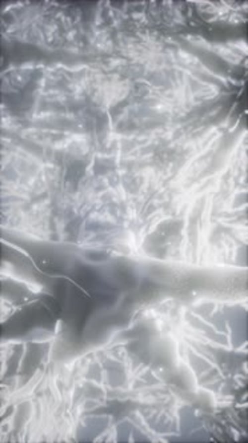 Journey Through a Neuron Cell Network Inside the Brain