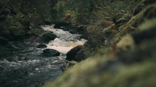 Small waterfall in the stream with rocks in the forest. Color graded shot.