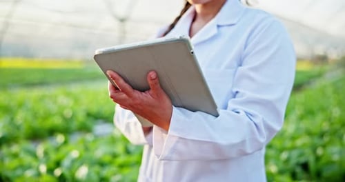 Researcher Using Tablet Inspecting Crops in Greenhouse