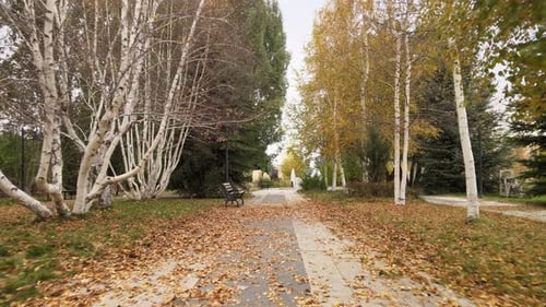 Park, Herbstlandschaft