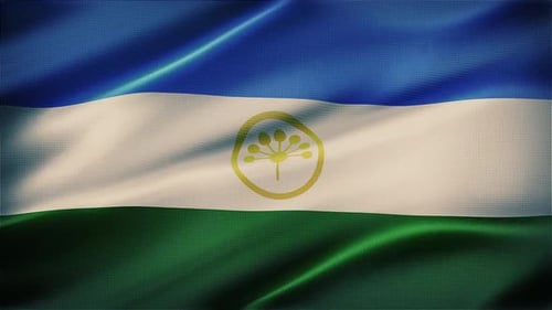 Realistic Fabric Flag Waving Animation with Emblem