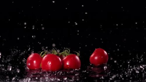Tomatoes Splashing in Water in Slow Motion