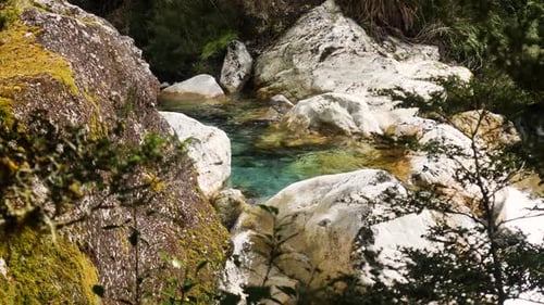 clear river pool flowing over boulders with forest plants in foreground