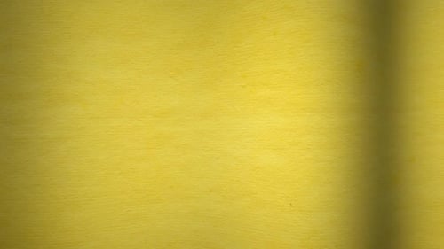 Moving Leaves Shadows on Textured Yellow Background Loop
