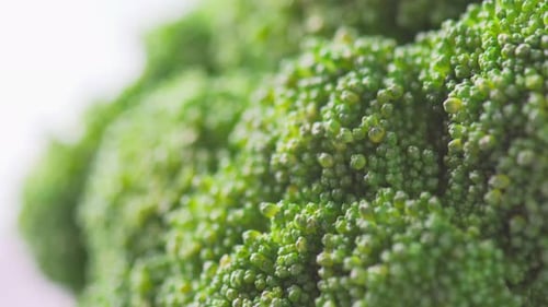 Macro footage of fresh broccoli. Close-up view of green cabbage